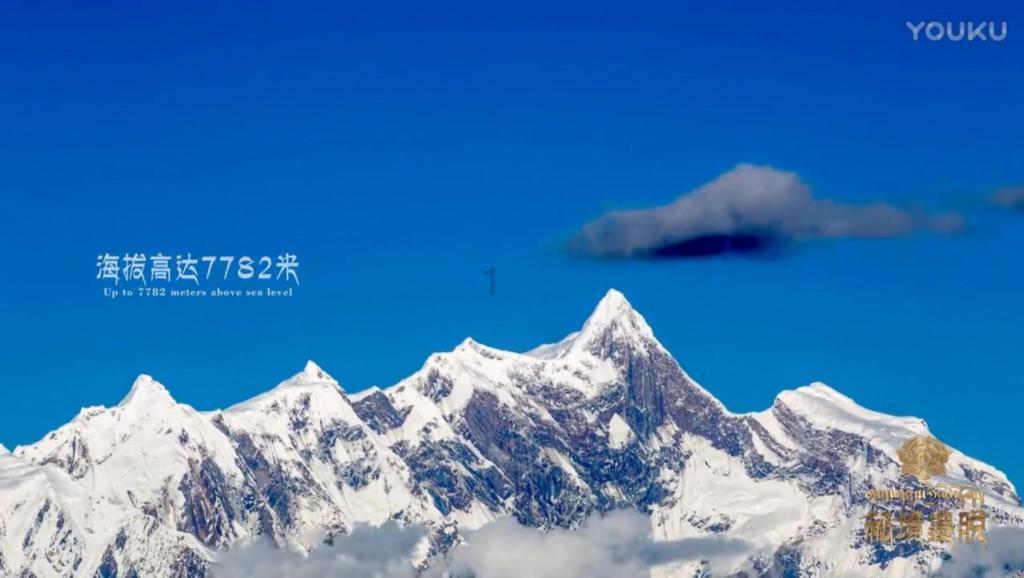杨瀚森伤情报告：电解质失调 排除心肌炎及心肌损伤