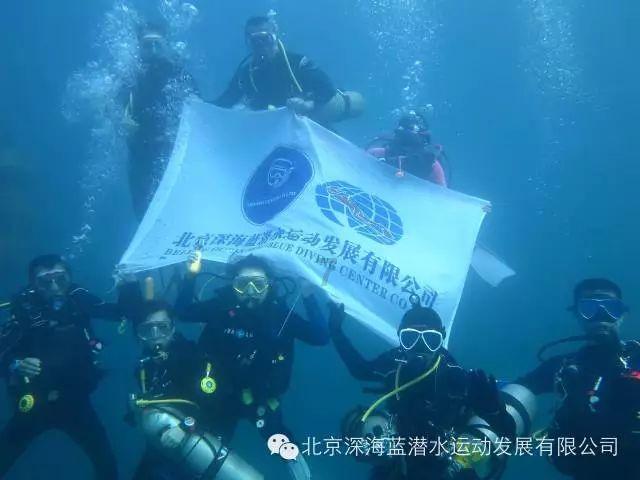 4399血盟荣耀