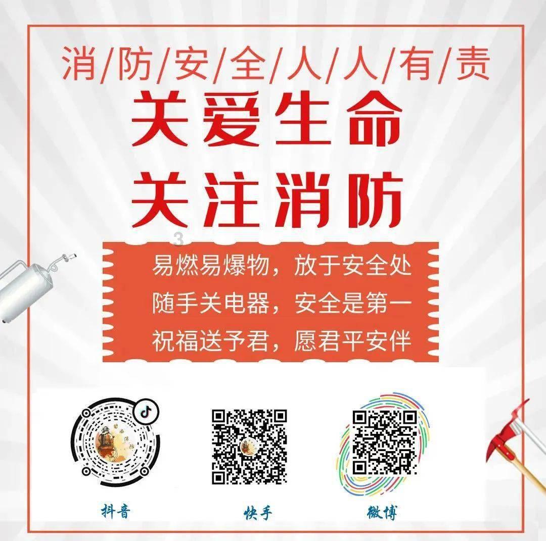 美人鱼的聚会