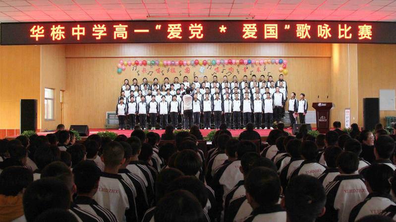 方舟生存进化