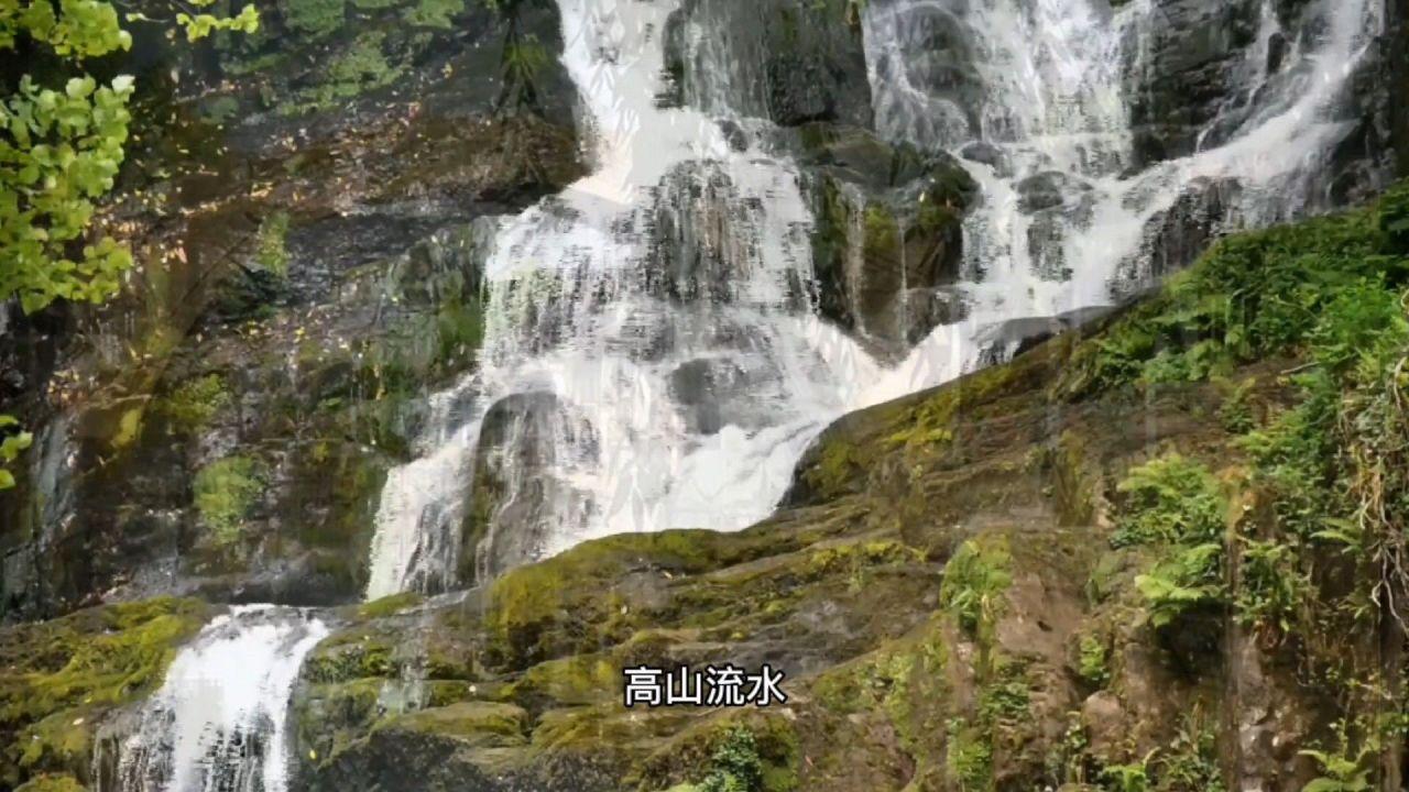 安徽太湖:发挥电商数字技术 赋能乡村产业振兴