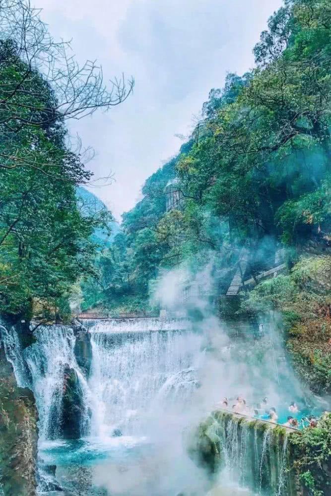 美妙森林找不同