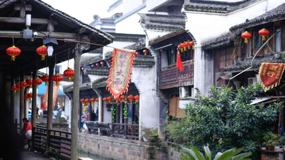 春雨直播app