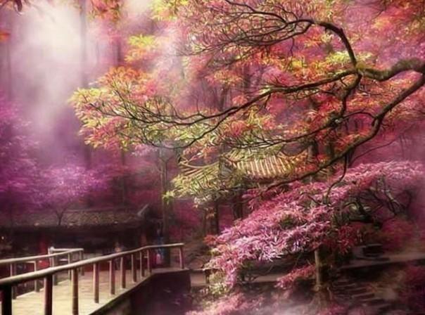 【题库刷题整理试题集】安管三类人员(水安)考试题库